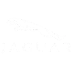 Jaguar Jaguar